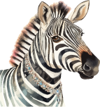 zebra